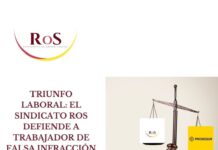 FALSA-INFRACCIÓN