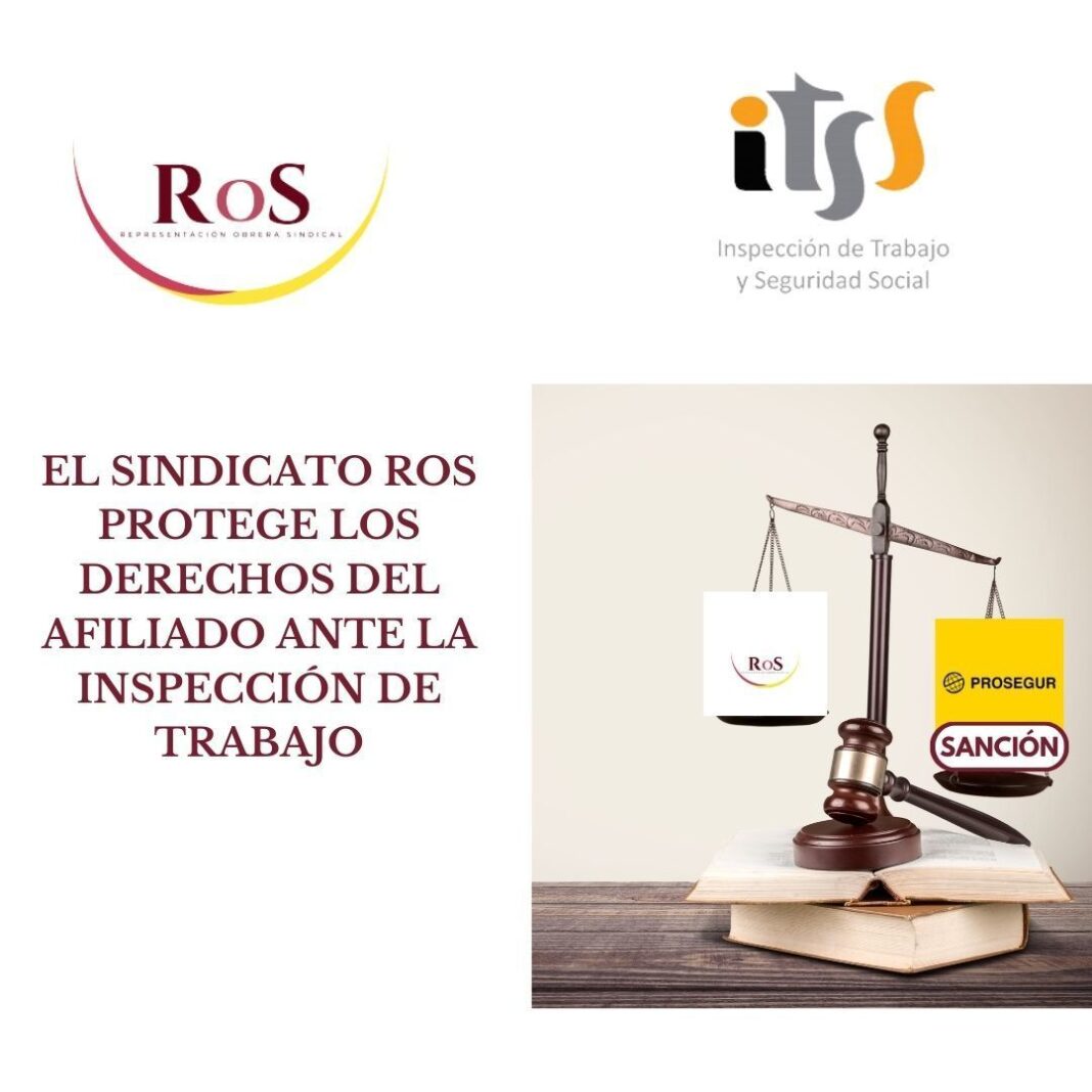 inspección