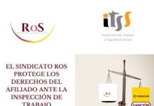 inspección