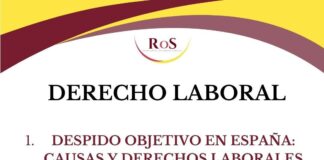 DESPIDO OBJETIVO EN ESPAÑA: CAUSAS Y DERECHOS LABORALES DESPIDO-OBJETIVO