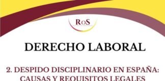 DESPIDO DISCIPLINARIO EN ESPAÑA: CAUSAS Y REQUISITOS LEGALES DESPIDO-DISCIPLINARIO